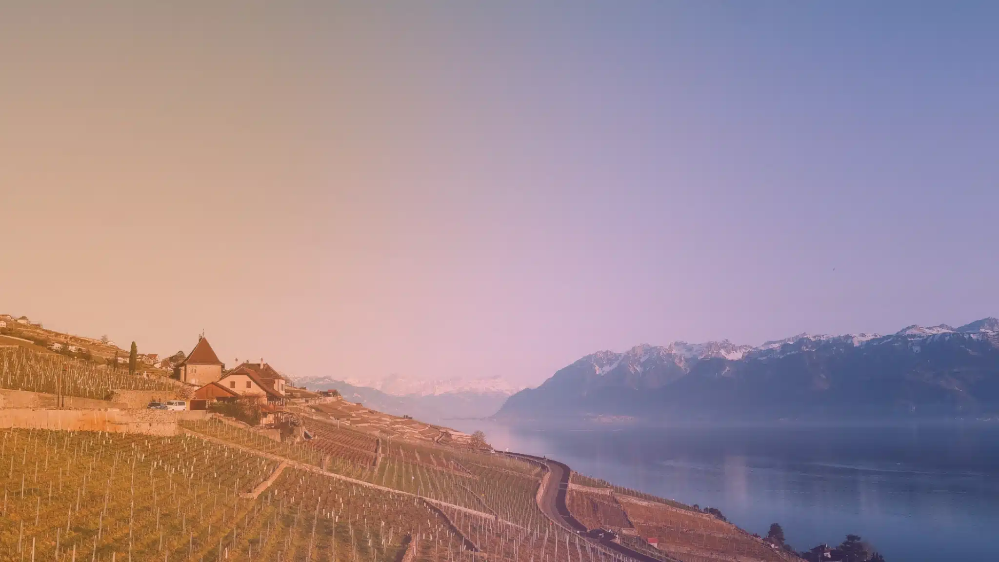 Guide pratique d'intégration de l'intelligence artificielle pour les PME suisses en 2026